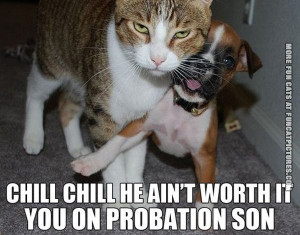 funny-cat-picture-he-aint-worth-it-youre-on-probation-son