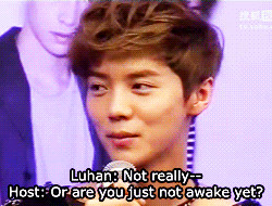 Funny Quotes Exo Lu Han Exo M Idek Macro Luhan 500 X 312 32 Kb Jpeg