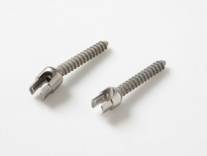 View Product Details: Plasma Spray Coated Screw