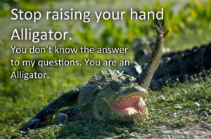 Stupid alligator