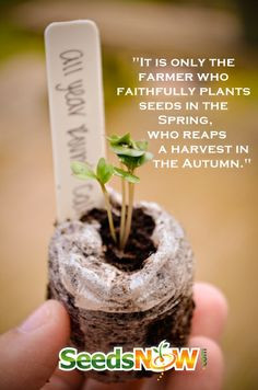 gardening quote more gardens quotes 5 1