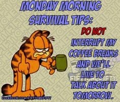 Monday morning survival tips: More