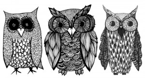 amazing, art, art work draw owl, black, black & white, black and white ...
