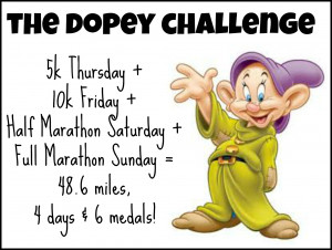 dopey-challenge-Nubers.jpg