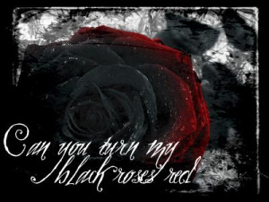 110303_20130731_153034_Red-and-Black-Rose-roses-11560429-400-300.jpg