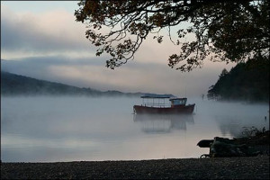 The Peace & Tranquility it provides)