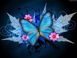 Blue Butterfly Wallpaper 9150 Hd Wallpapers