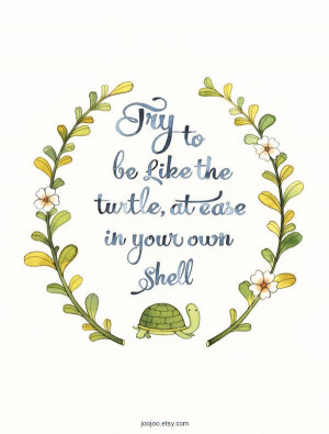 be like the turtle at ease in your own shell self esteem quote ...