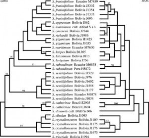 ... finding tree goal phylogenetic parsimonious trees. An gilles