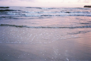 beach, lula, nature, sea, sea shore, shore