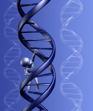 SUPPORT TO BIOCHEMISTRY USERS