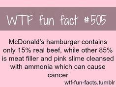 WTF-fun-facts : funny & weird facts More