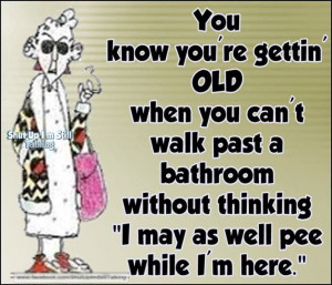 quotes funny quotes quote life funny quote maxine getting old: Old Age ...