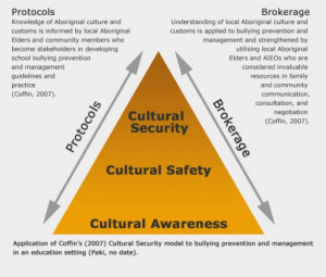 This model distinguishes between cultural awareness, cultural safety ...