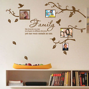 ... -Bird-Photo-Frame-Nursery-Art-Wall-Stickers-Quotes-Wall-Decals-Deco