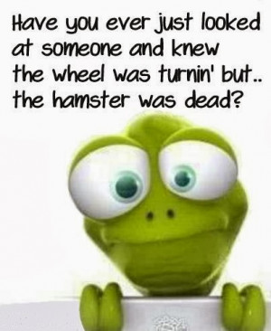 ... at someone and knew the wheel was turning but the hamster was dead