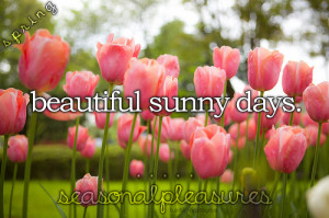 Sunny Day Quotes