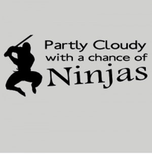 funny ninja t shirts