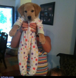 Puppy in Pajamas