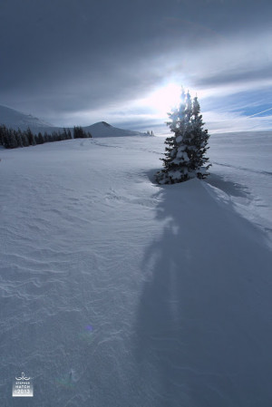 The Inner Light is the doctrine that there is something Divine in the ...