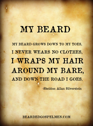 My Beard by Sheldon Allan Silverstein .