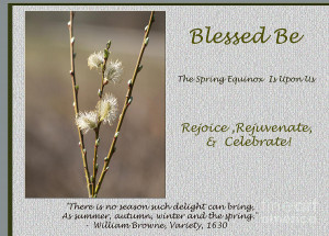 Celebrate The Spring Equinox Card Photograph