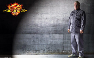 The Hunger Games Mockingjay Part 1 Plutarch Heavensbee Wallpaper HD
