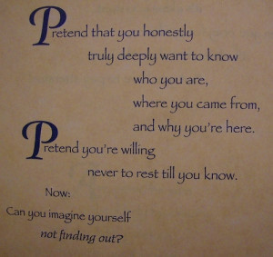 The Lifting of the Veil - john449: Richard Bach Messiah’s Handbook ...