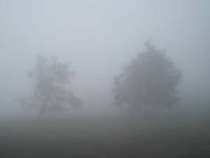 foggy day in Oakland Town