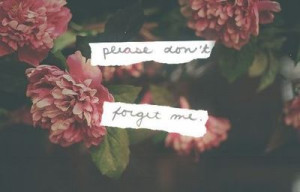 Please don't forget më