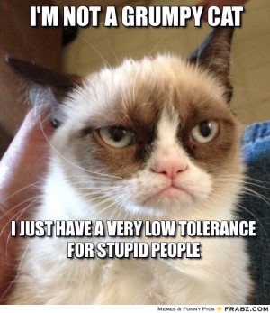 frabz-Im-not-a-grumpy-cat-i-just-have-a-very-low-tolerance-for-stupid ...