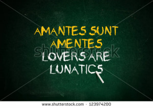 Lovers are lunatics. Latin quote handwritten with chalk on a green ...