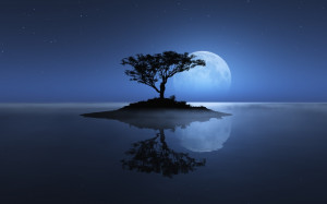 Tree, sea, moon, reflection, island, stars, night, water, ocean ...