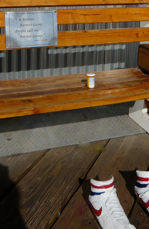 Forrest Gump Quotes Destiny Forrest gump quotes: