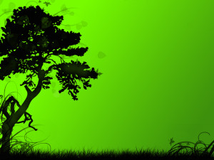 Some people say 'people who like green color will also love the green ...