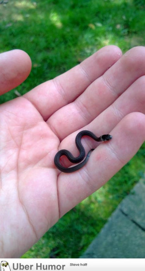 SIGN UP FOR THE NEW UBERHUMOR NEWSLETTER