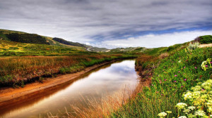 Small mountain stream wallpaper