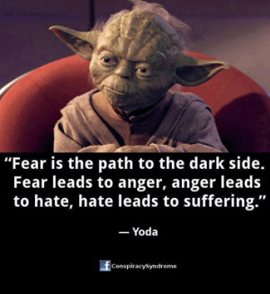 Fear is the path to the dark side. Fear leads to anger, anger leads to ...