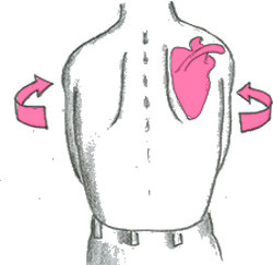 Protract Enzymes Enbro For...