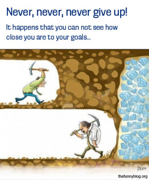 funny-never-give-up-funny-diamond-reach-goal-hard-work-funny-picture