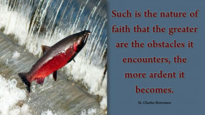 quote from St. Charles Borromeo