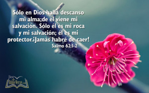 best-spanish-bible-verse-wallpapers-nice-spanish-bible-images