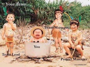 Funny Pictures-Team Leader-Team Manager-Project Manager-Images-Photos