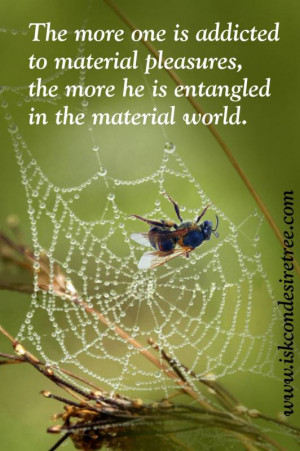 ... to material pleasures, the more he is entangled in the material world