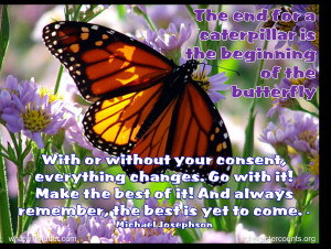 – The end for the caterpillar is the beginning for the butterfly ...