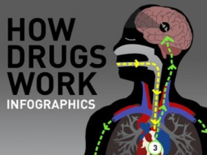 Drug Facts 7: legal drugs