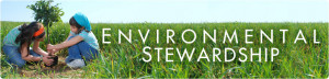 environmental stewardship