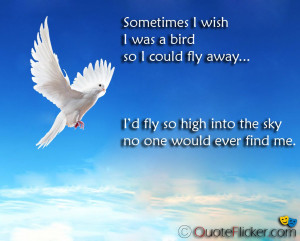 wish I was a Bird...