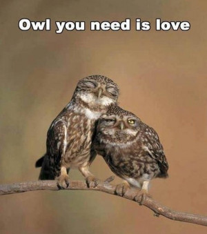 Cute memes – [Own you need is love]