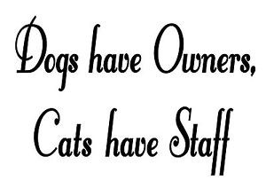 DOGS-HAVE-OWNERS-CATS-HAVE-STAFF-FUNNY-CUSTOM-VINYL-WALL-DECAL-QUOTE ...